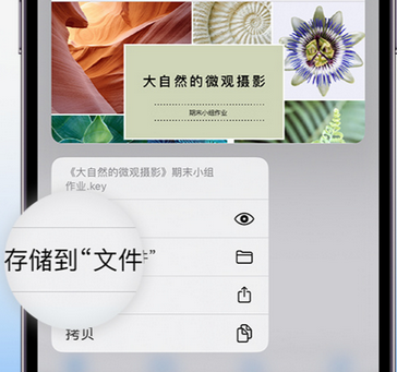 奉节apple维修中心分享iPhone文件应用中存储和找到下载文件