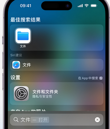 奉节apple维修中心分享iPhone文件应用中存储和找到下载文件