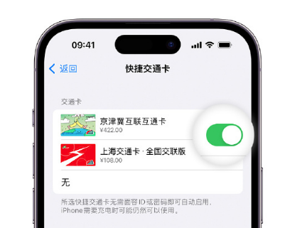 奉节apple维修点分享iPhone上更换Apple Pay快捷交通卡手绘卡面 