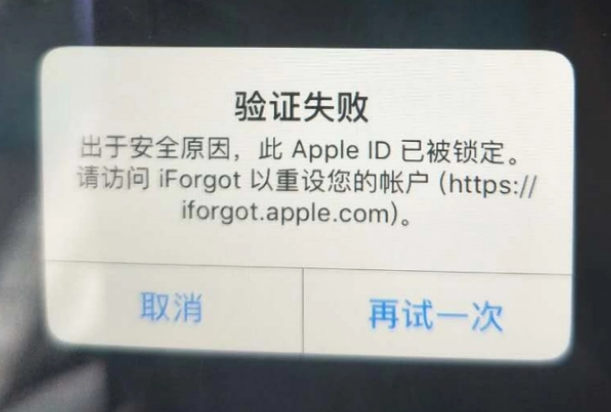 奉节iPhone维修分享iPhone上正常登录或使用AppleID怎么办 