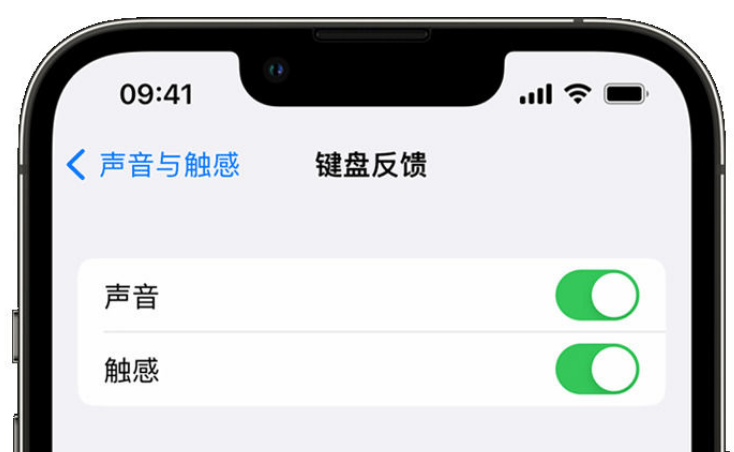 奉节苹果手机维修分享iPhone 14触感键盘使用方法 