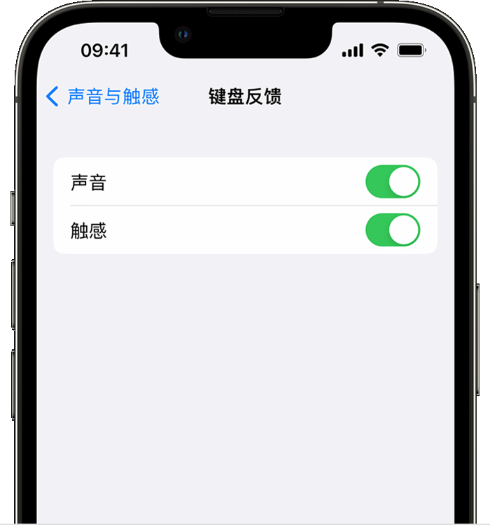奉节苹果14维修分享iPhone 14 系列机型如何开启键盘声音或触感反馈 