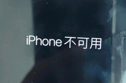 奉节苹果服务网点分享锁屏界面显示“iPhone 不可用”如何解决 