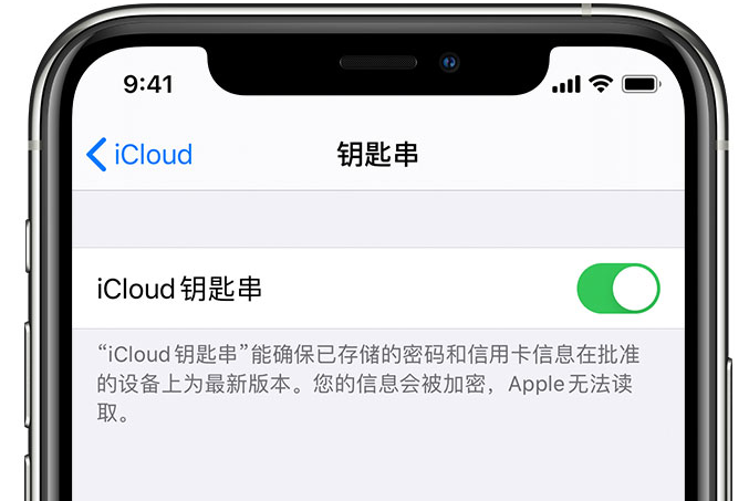 奉节苹果手机维修分享在 iPhone 上开启 iCloud 钥匙串之后会储存哪些信息 