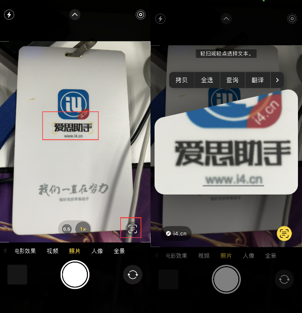 奉节苹果手机维修分享升级iOS 16后如何通过相机翻译文本 