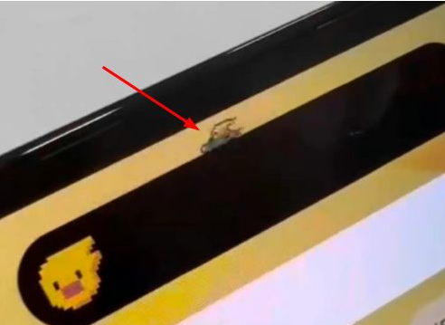 奉节苹果14维修分享iPhone 14 Pro Max灵动岛怎么养宠物 