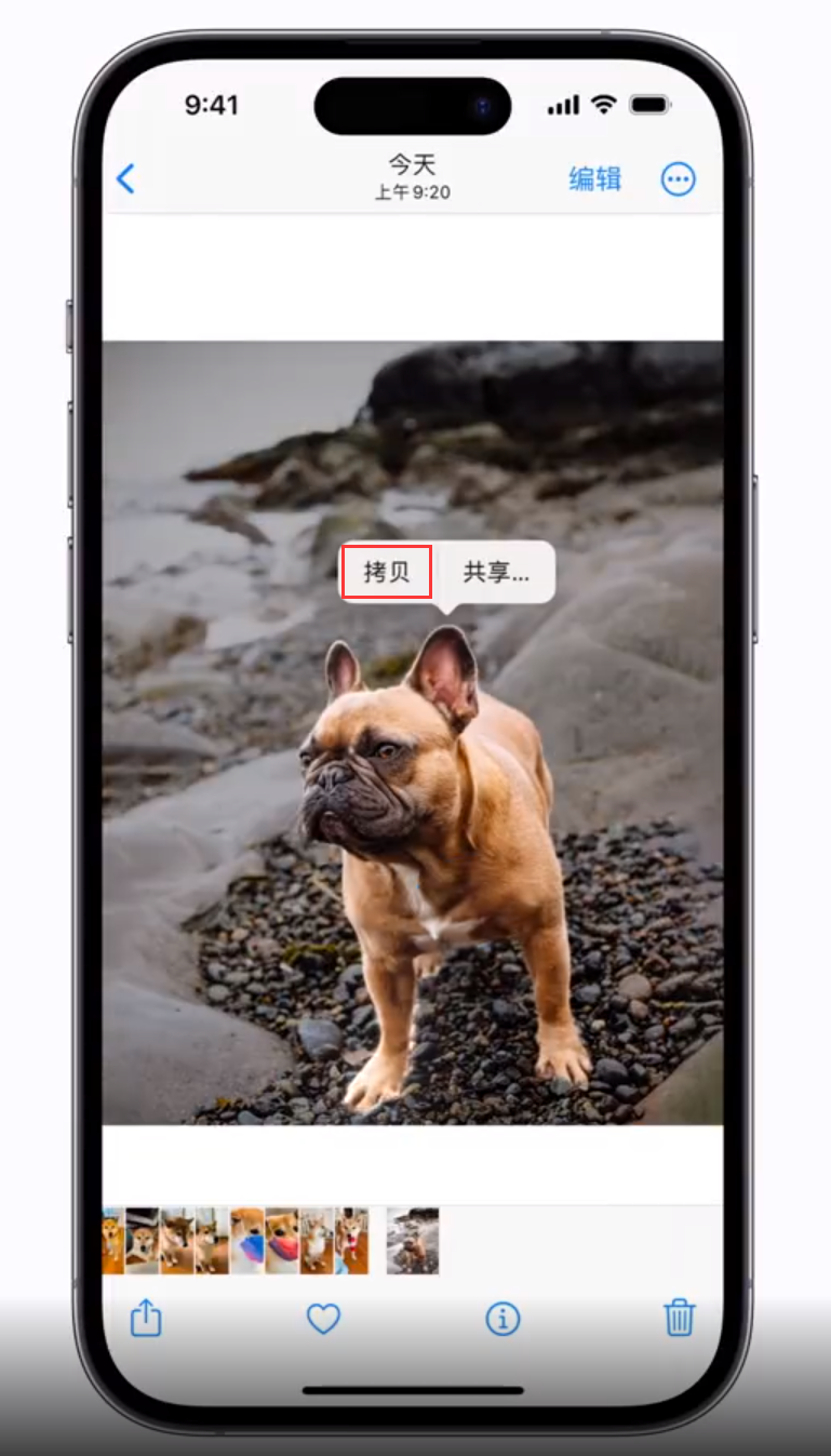 奉节苹果手机维修分享 iOS 16 自带一键抠图功能 