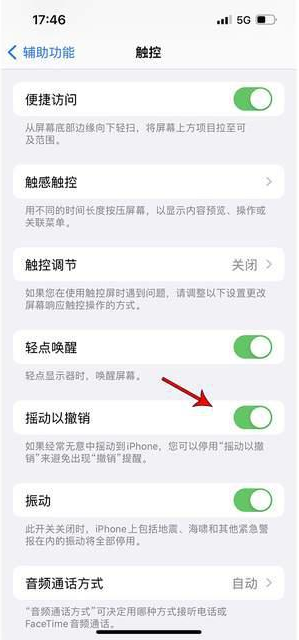 奉节苹果手机维修分享iPhone手机如何设置摇一摇删除文字 