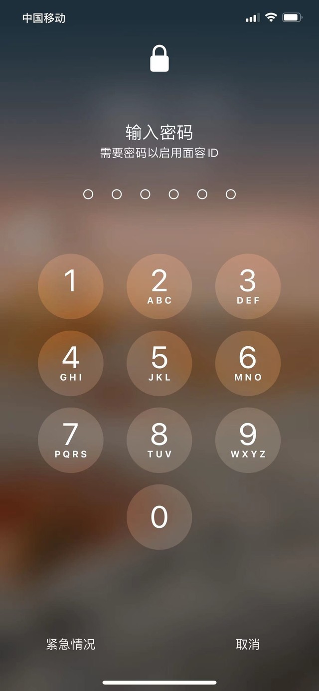 奉节苹果13维修分享iPhone 13加强锁屏功能有什么用 