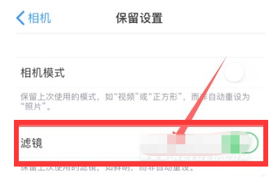 奉节苹果13维修分享iPhone13拍照有绿点是怎么回事 