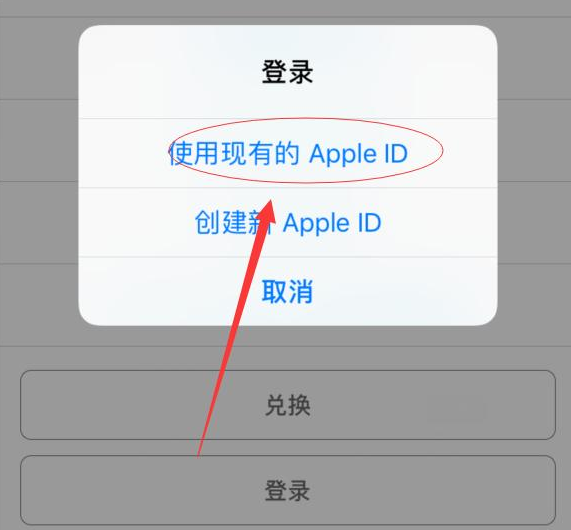 奉节苹果手机维修分享两台iPhone设备可以同时登录一个Apple ID吗 