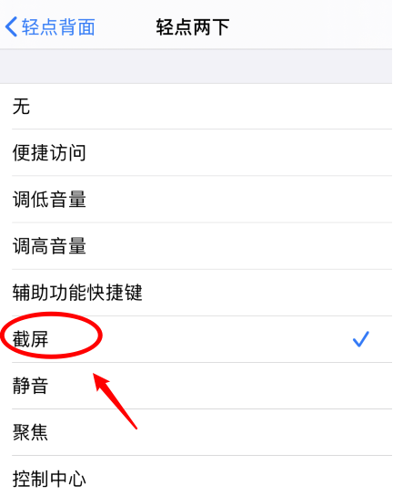 奉节苹果手机维修分享iPhone12如何启用双击截屏 