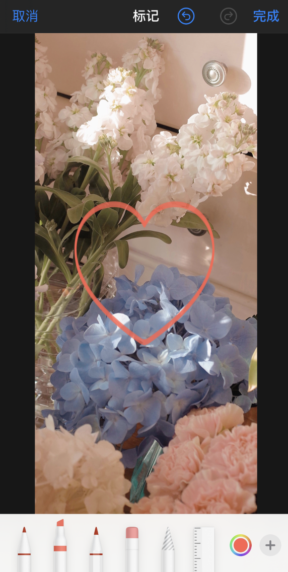 奉节苹果手机维修分享iPhone 12 如何在照片上涂鸦 