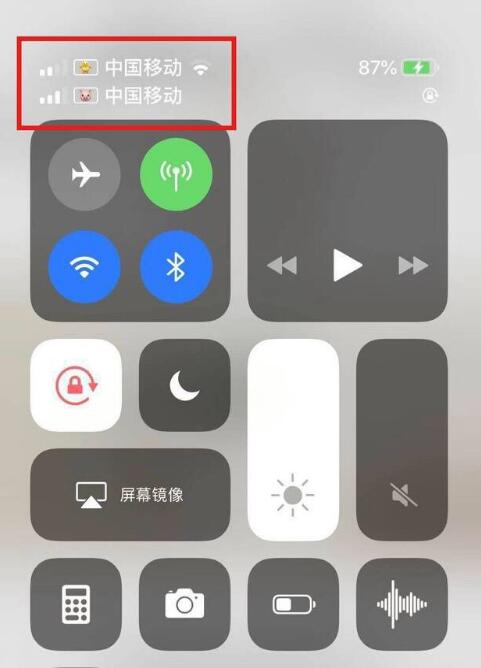 奉节苹果手机维修分享为 iPhone 12 双卡设置标签 