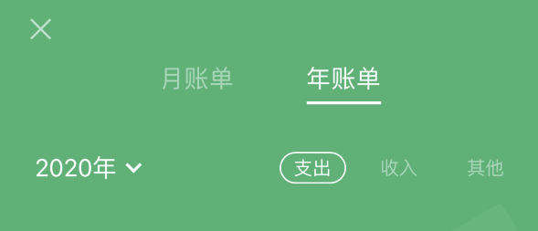 奉节苹果手机维修分享如何在 iPhone 上查看支付宝和微信年支出账单 